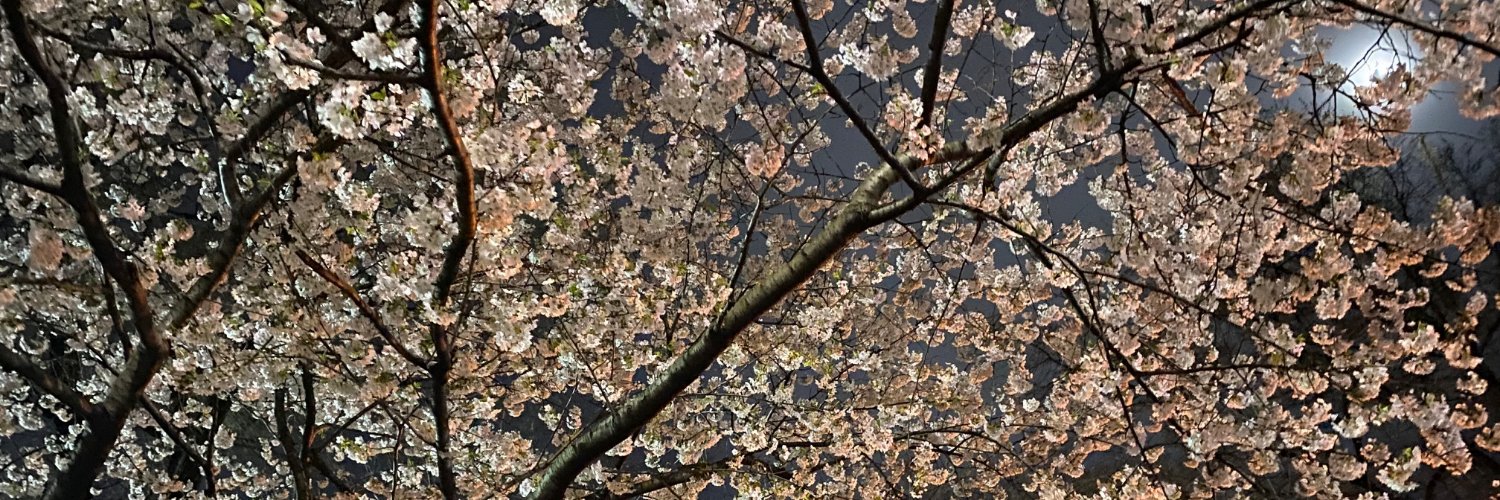 Cmkahn's profile banner image
