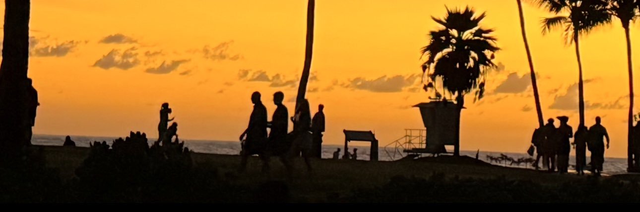 Vaughn Berger banner