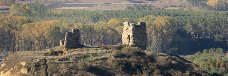 Saldana cripto banner