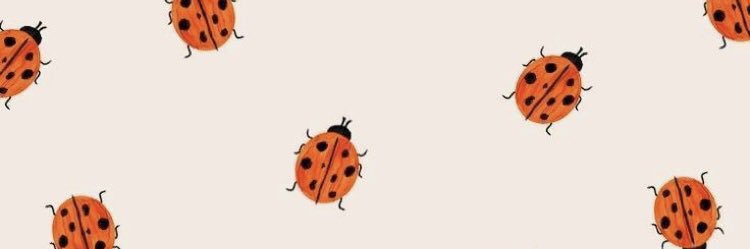 maajocoello's profile banner image