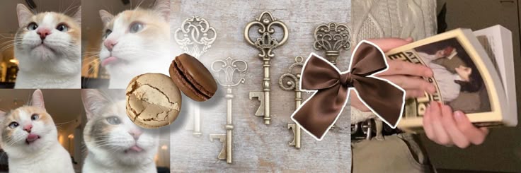 𝖽𝗒𝗈𝗇 , banner