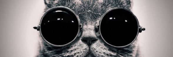 Will banner