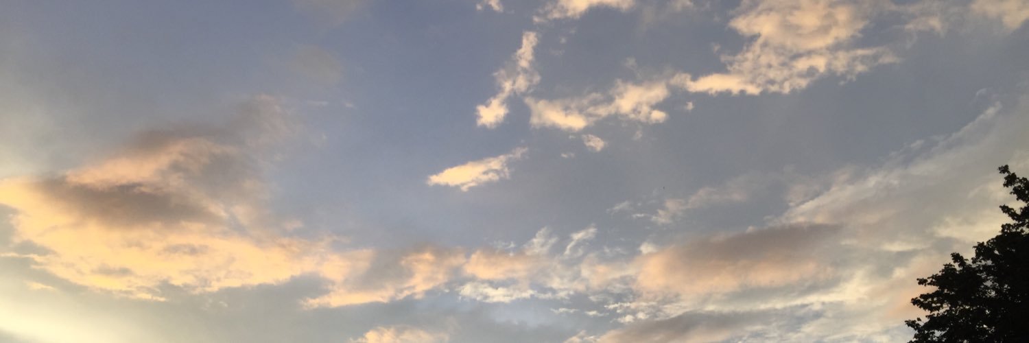 icesergentle's profile banner image