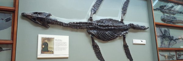 StephanieBearce Profile Banner