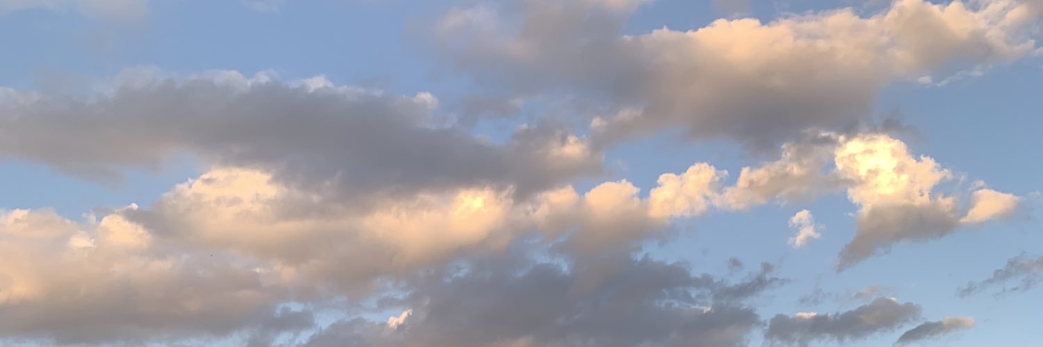 iasfbrid's profile banner image