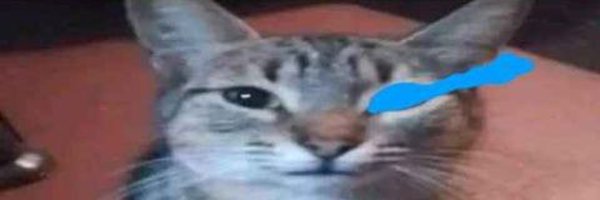 agus_two Profile Banner