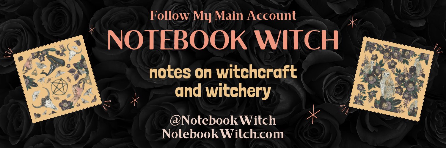 Bridget Eileen Madden - The Notebook Witch banner