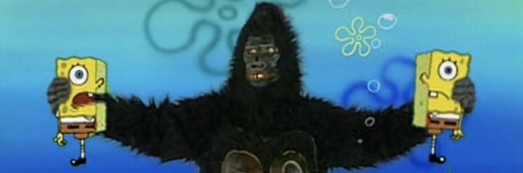 orozcoleche's profile banner image