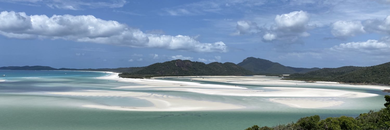 Scott Machado banner