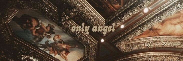 𝘊𝘢𝘴𝘴𝘪𝘦 banner