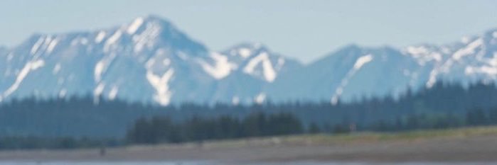 ecclesiastesfn's profile banner image