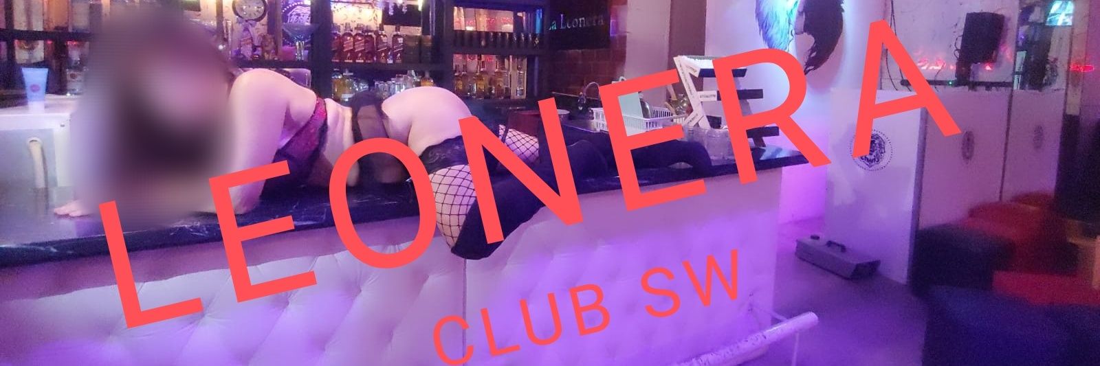 La leonera SW banner