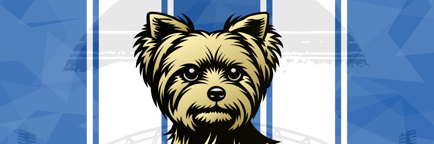 WlshIE's banner