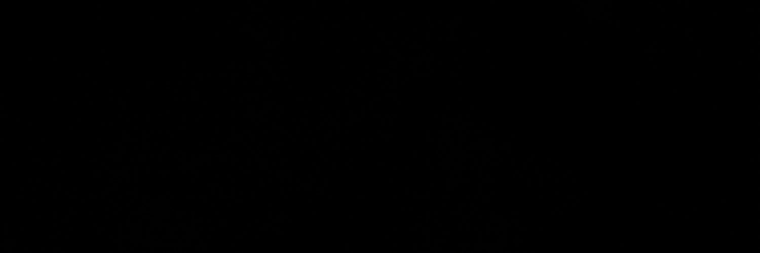 punx banner
