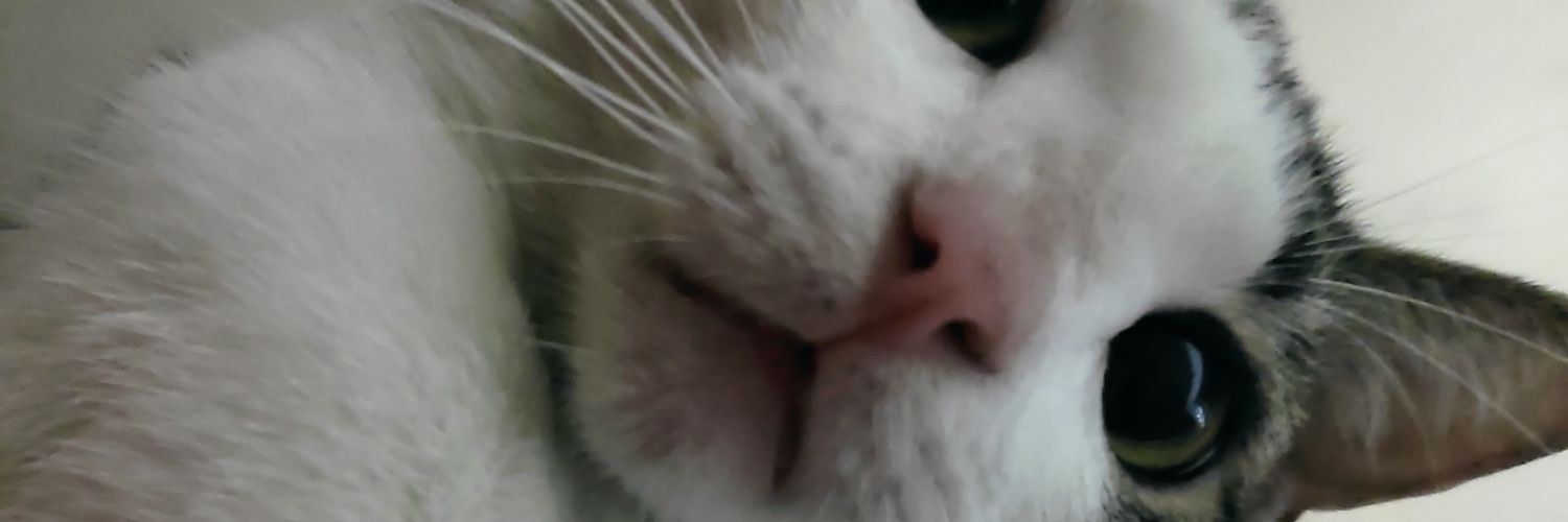 wachitoVL's profile banner image