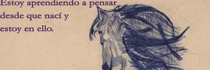 Transmoderna, Marlén banner