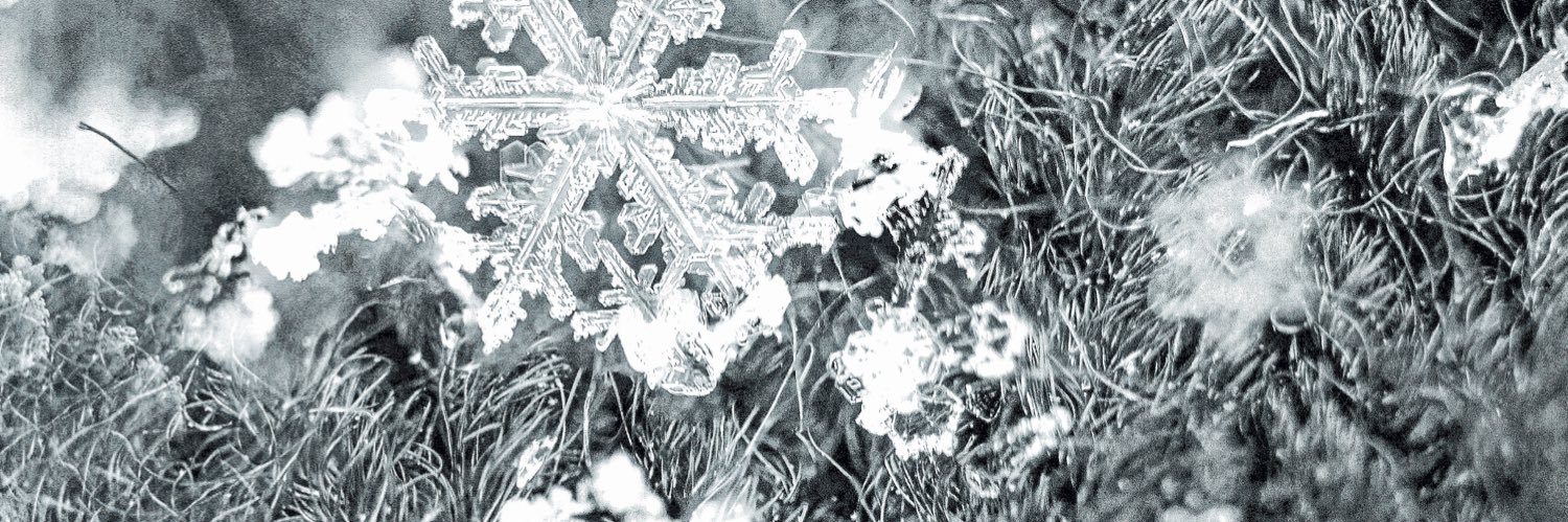 ◜𝓯𝐢𝐟𝐭𝐡 ⭒ 𝖘𝓹𝒊𝒓𝒊𝒕◞ banner