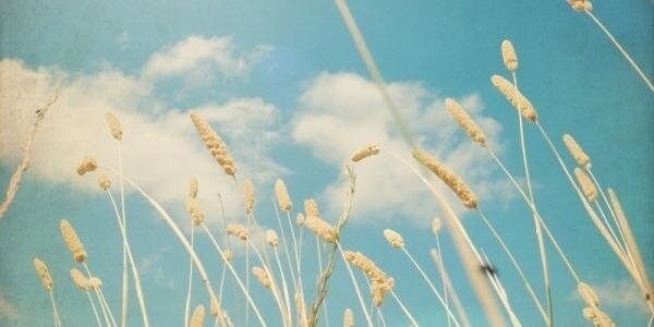 AnkaOver's profile banner image