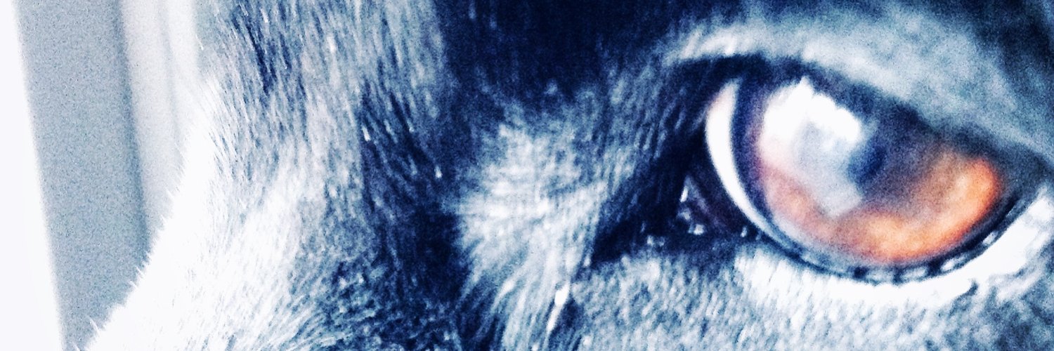 Brian Kenney 💥 banner