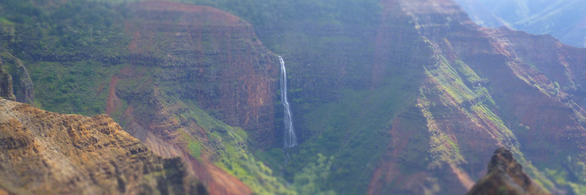 Taylor John Wright banner