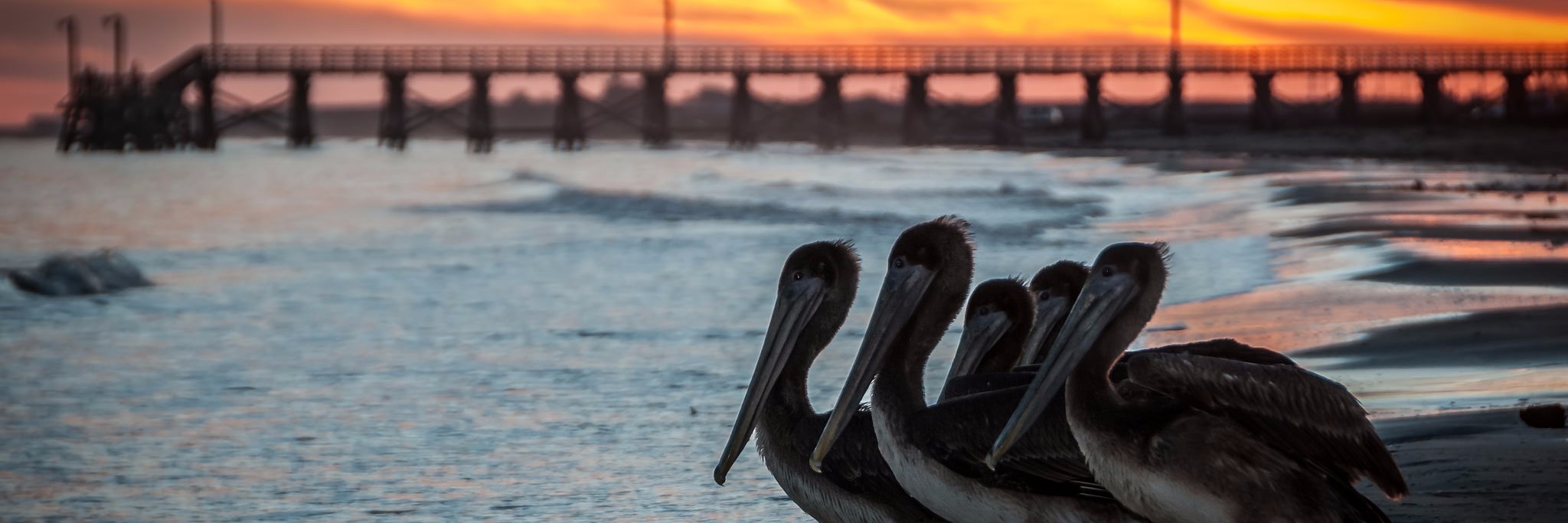 BrazoriaCounty's profile banner image