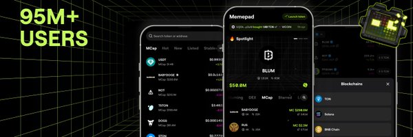blumcrypto Profile Banner