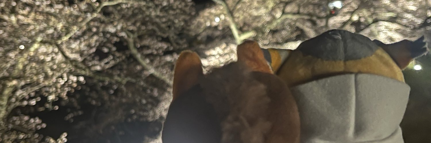 🦦 banner