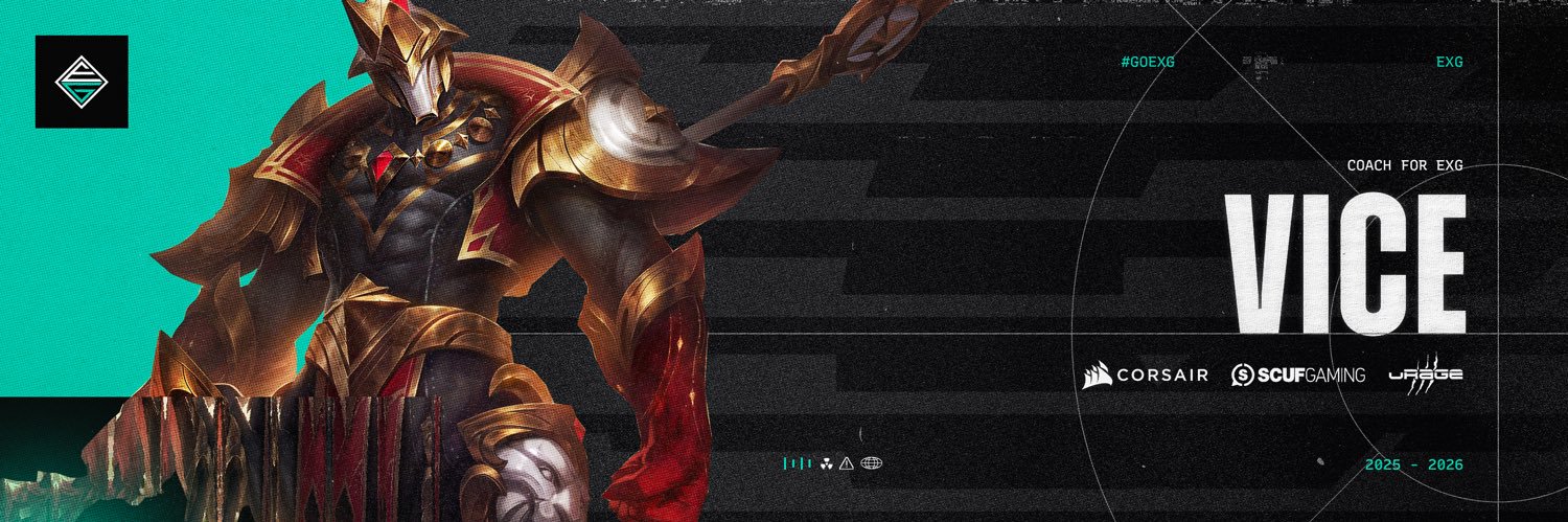Vice banner