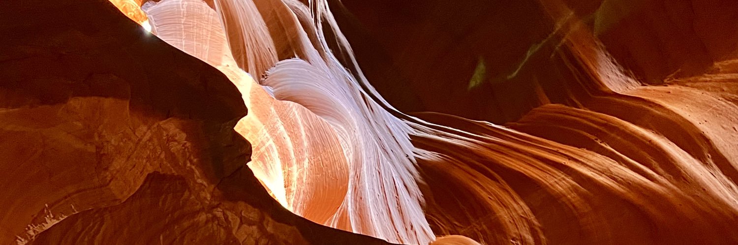 orysegal's profile banner image