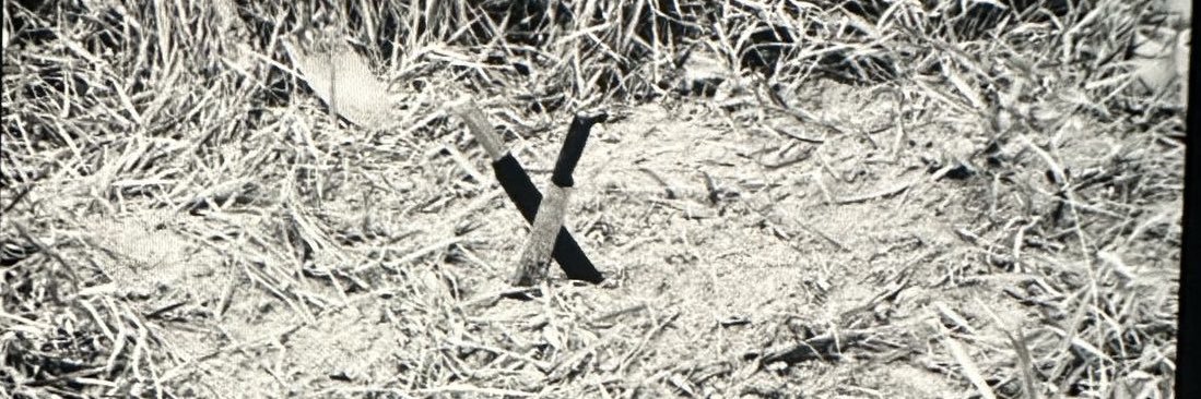 Cazador de Bestias banner