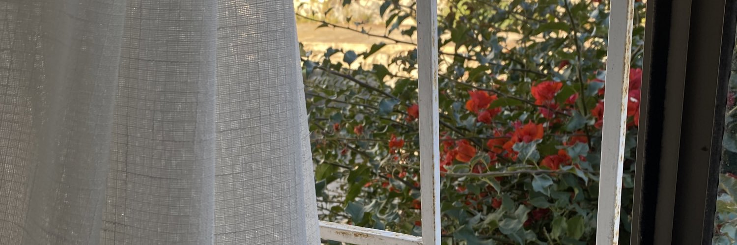 🌹 banner