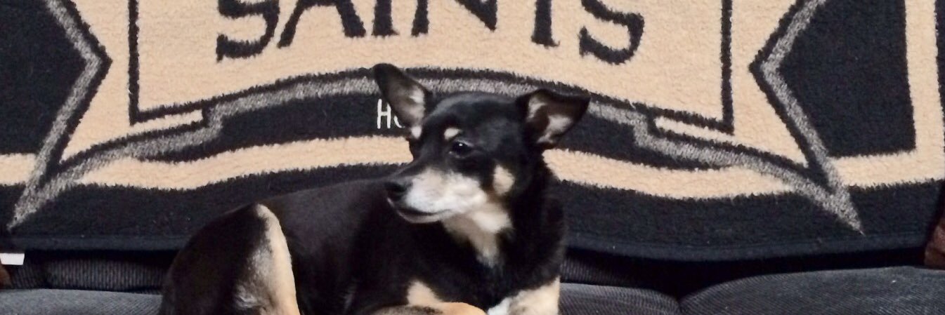 katspeanuthead's profile banner image