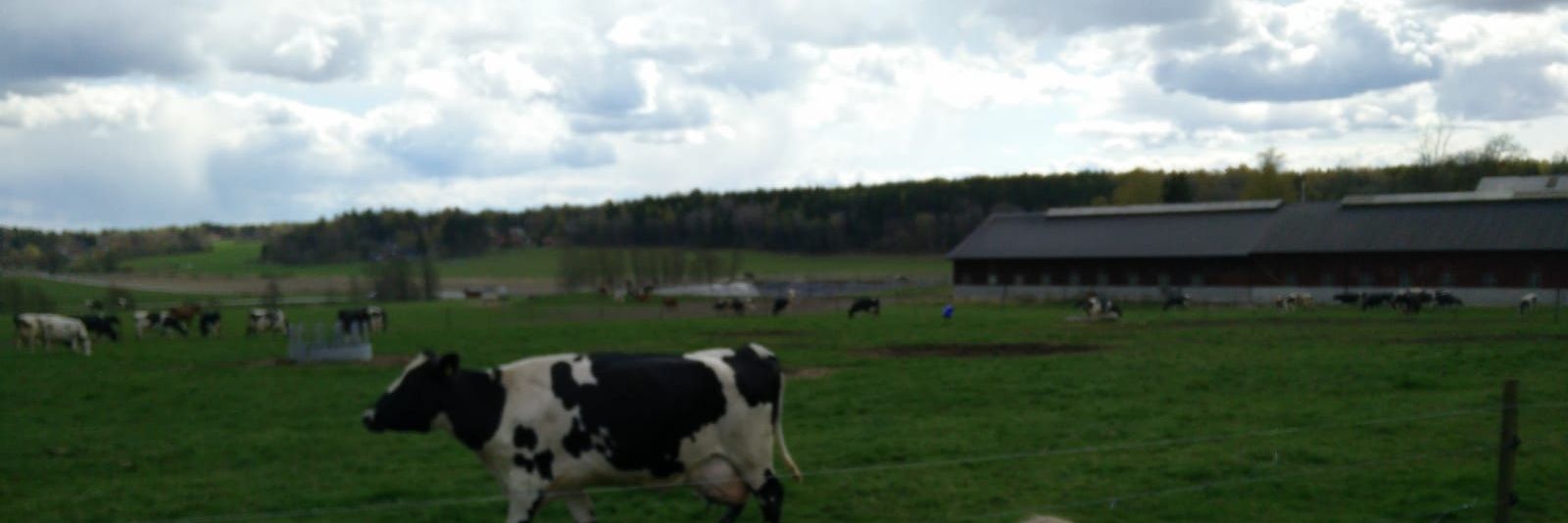 jonssonjos's profile banner image