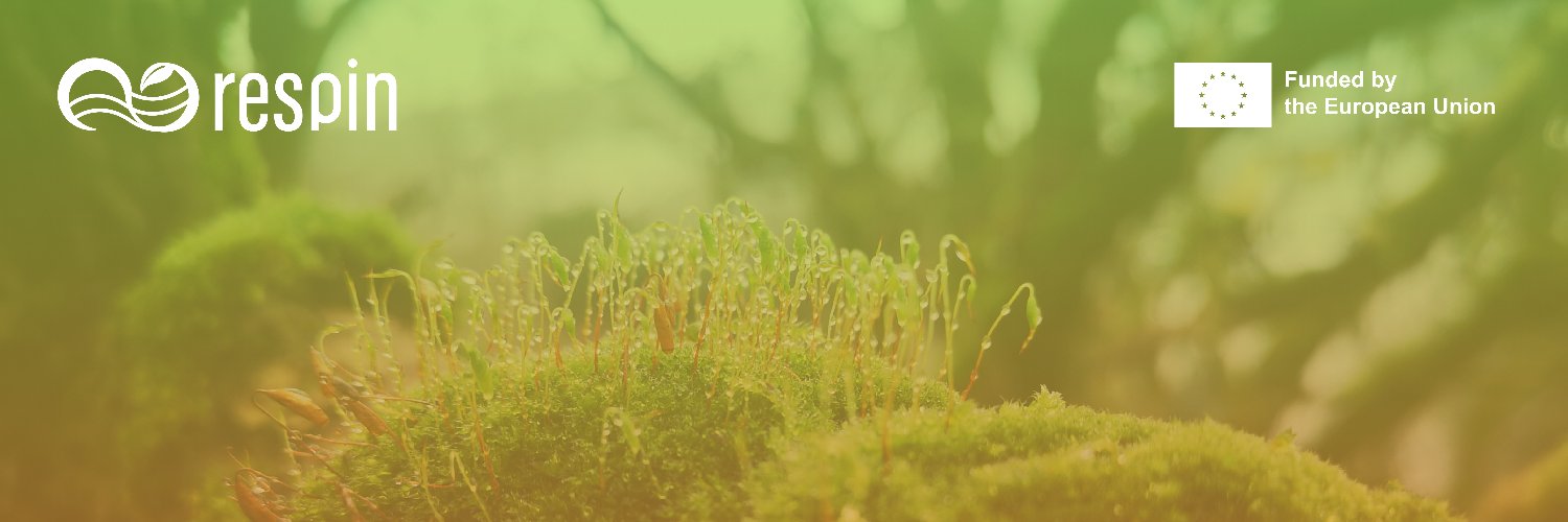 RESPIN banner