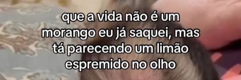 caroca 🍒 banner
