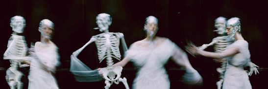 emily__harrison's profile banner image