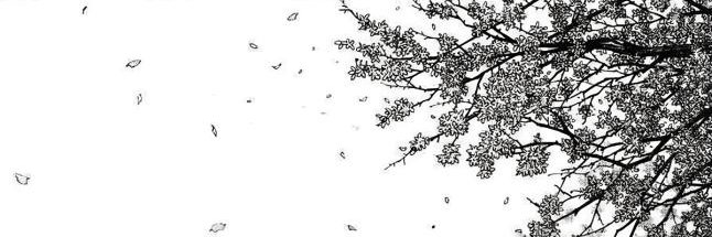 LunaRibbit's profile banner image