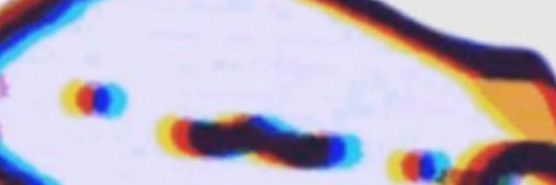 Dancing cat banner