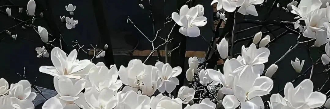 蜜桃水多多 banner