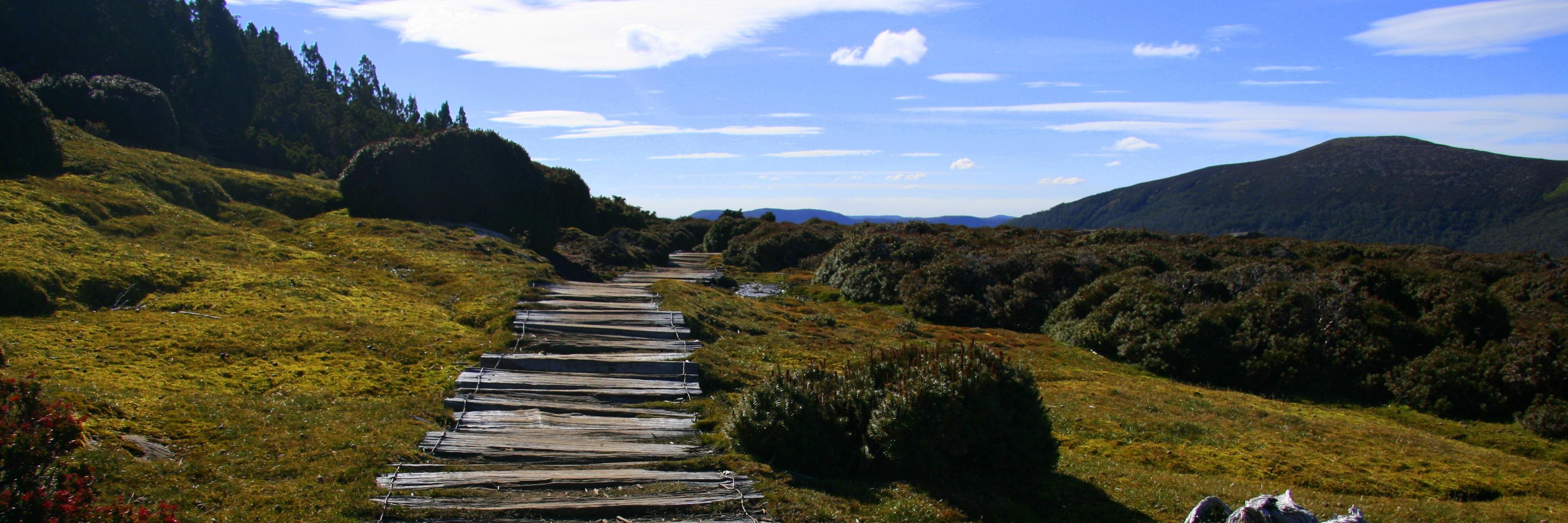 The Environment Show banner