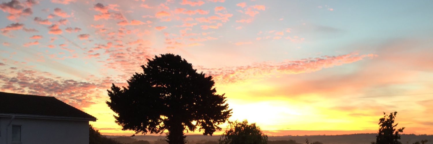 daisygraydon's profile banner image