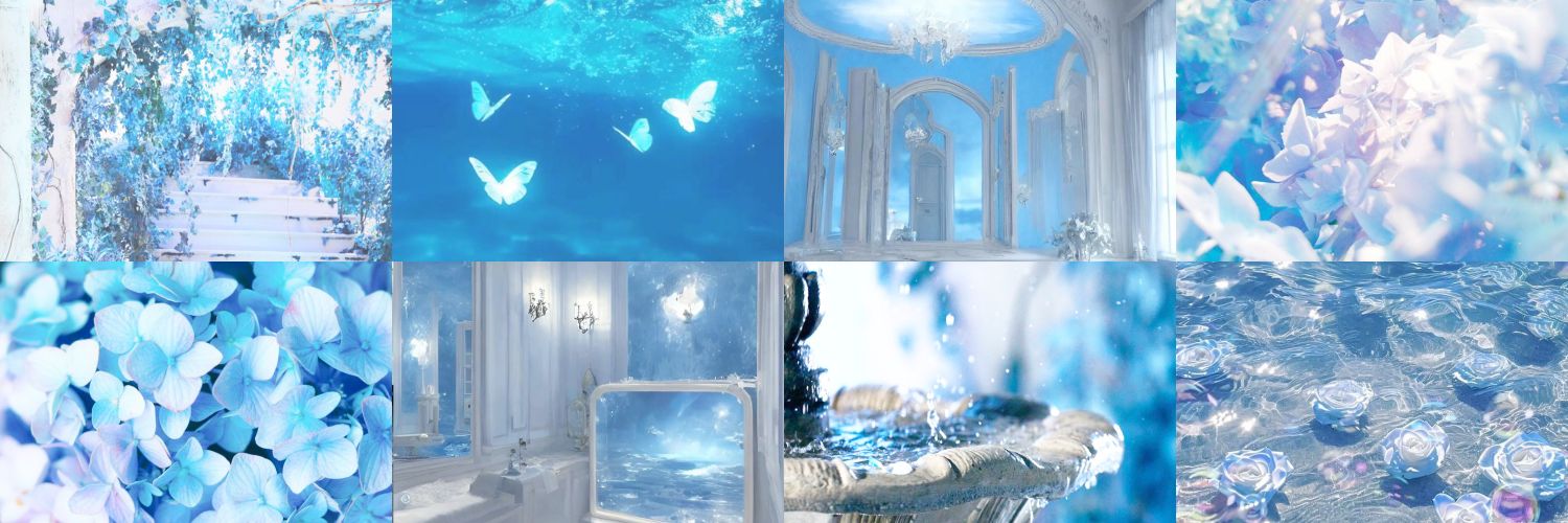 lileyeu | | fst on wa banner