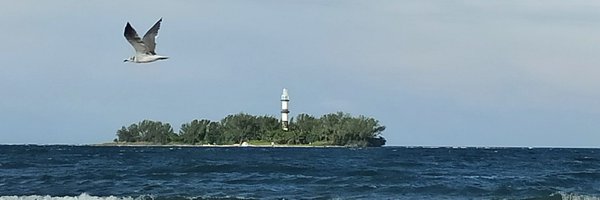 nancyortiz_ Profile Banner