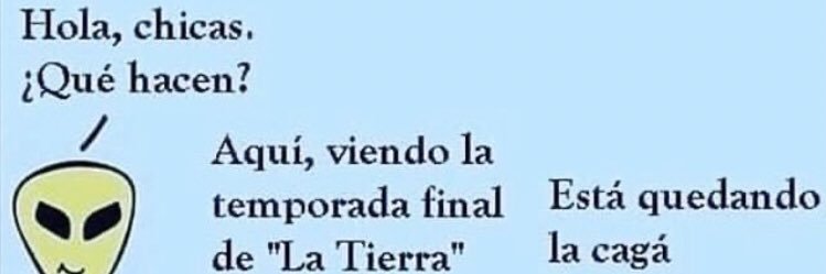 Andrea banner