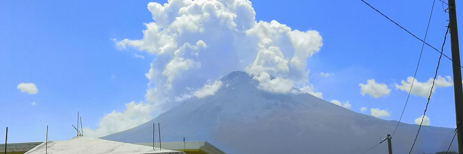 dianita sanchez banner
