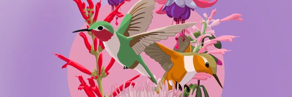 ParaisoColibri Profile Banner