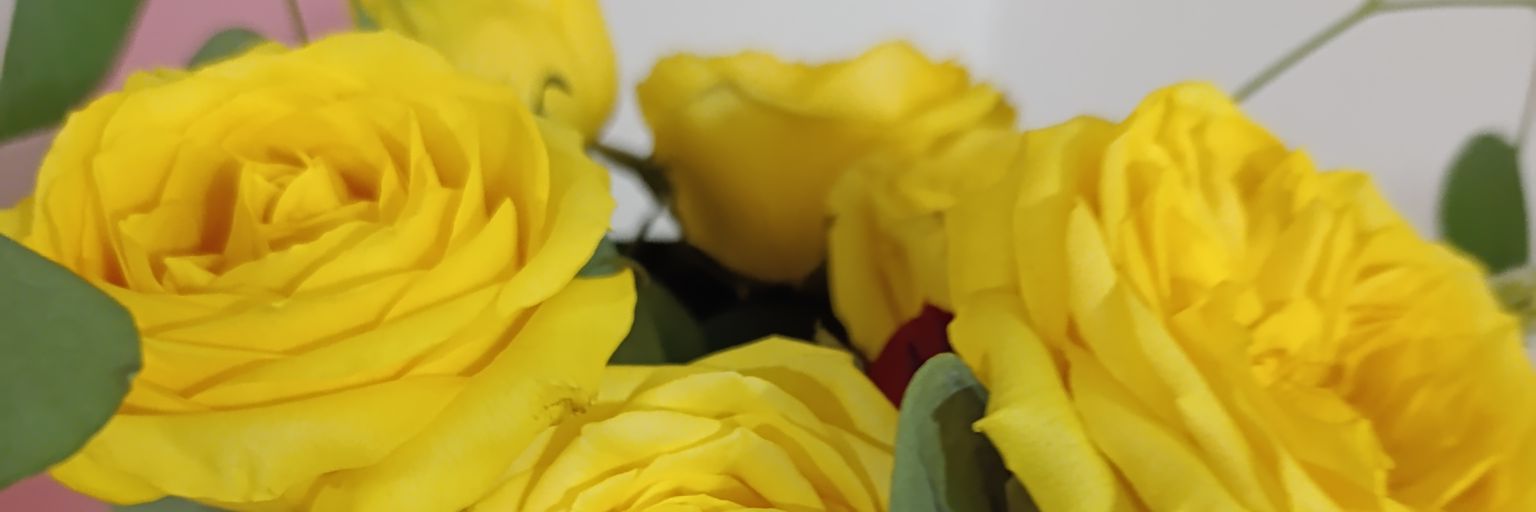tu_pollypocket_'s profile banner image