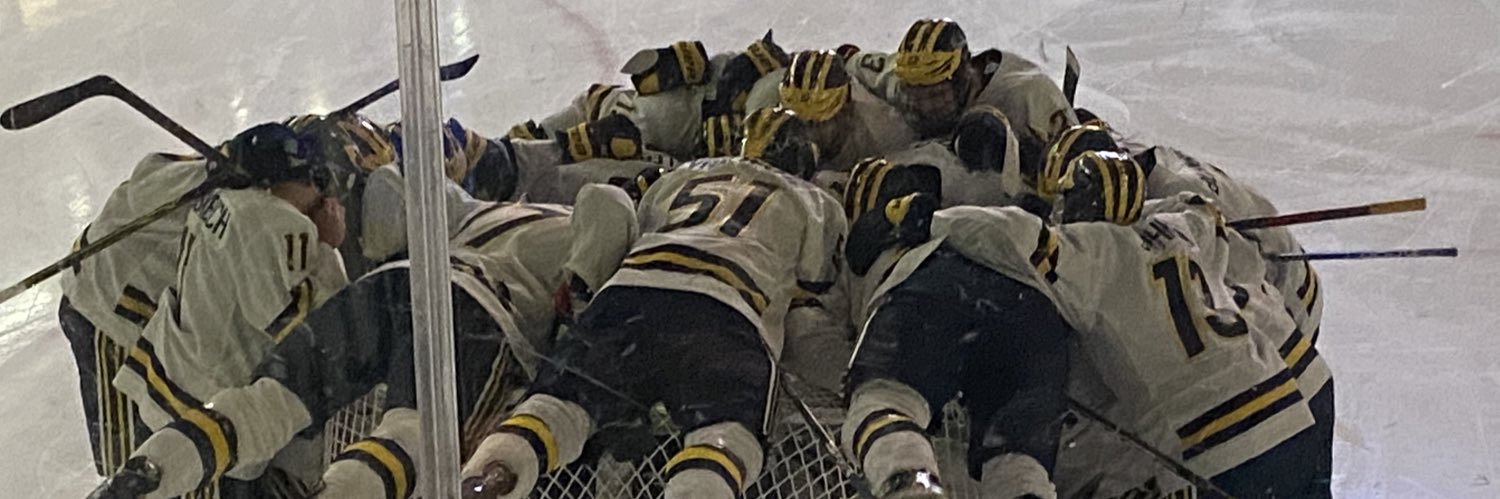HenneGivenSunda's profile banner image