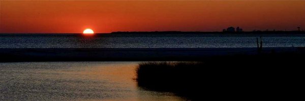 TerriGreenUSA Profile Banner