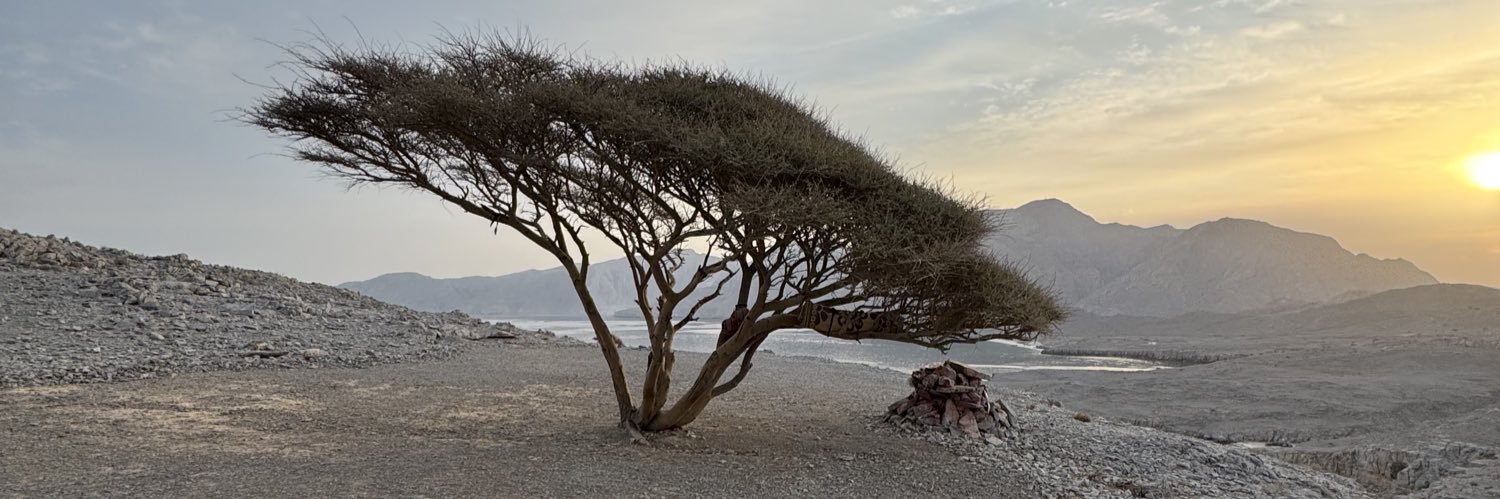 Moh A s h k a n a n i banner